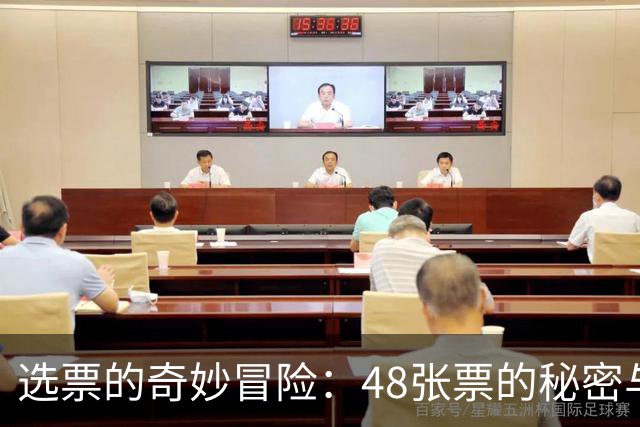 选票的奇妙冒险：48张票的秘密与网络黑幕